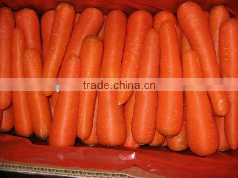 clean surface quality carrot