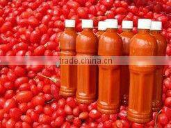 Xinjiang JInns Medlar Supply HACCP ISO HALAL 100% Goji Natural High Quality Goji Juice Concentrate