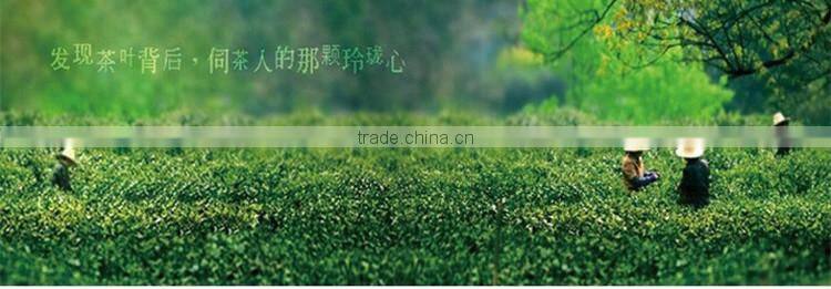 Matcha tea japanese organic matcha green tea powder