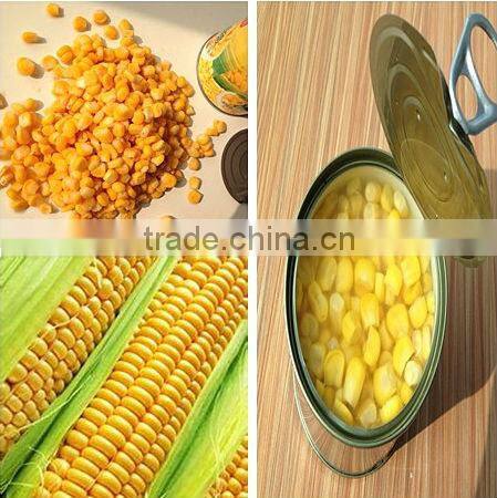 New crop Canned sweet corn 425gx24tin with best price
