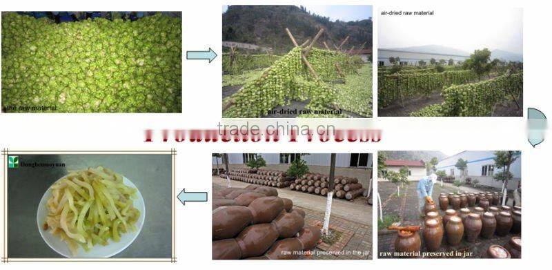 Pickles Powder of Hot Pickled Mustard Tuber Essence