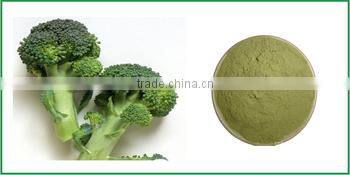 Pure and Natural Instant Broccoli powder with Sulforaphen 0.5%, 2%, 10%, 20% for Food and Beverage