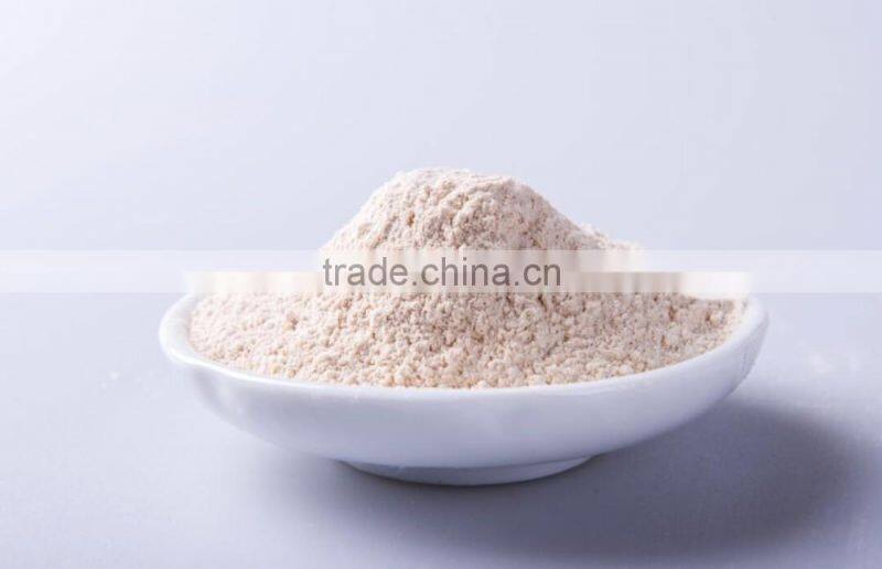 White Color Garlic Powder from Shandong