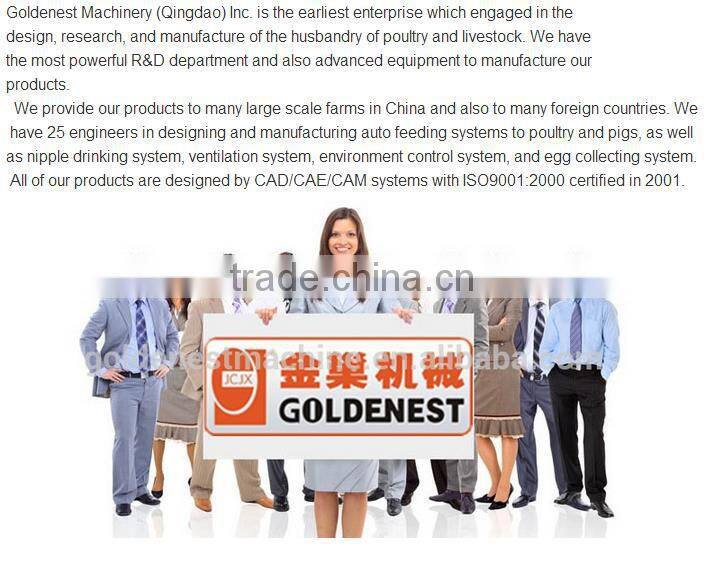 Goldenest poultry farm automatic manure removal system