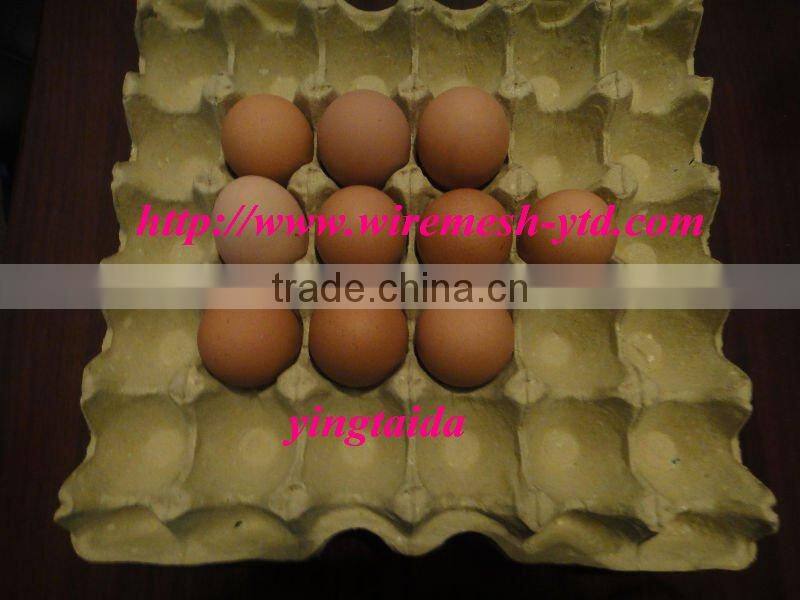 egg tray craft