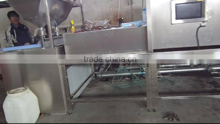 Wide Belt tunnel micro making fruits and vegetables vacuum drying machines