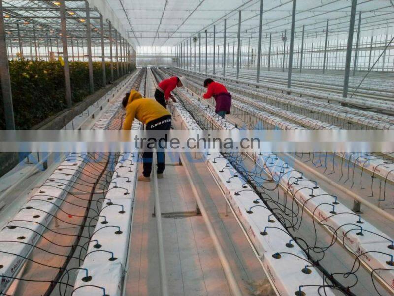 Multi Span Agricultural Double Layer Hollow Glass Greenhouse ISO9001:2008