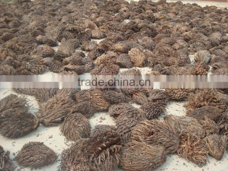 high performance palm fibre extracting machine 75KW from China