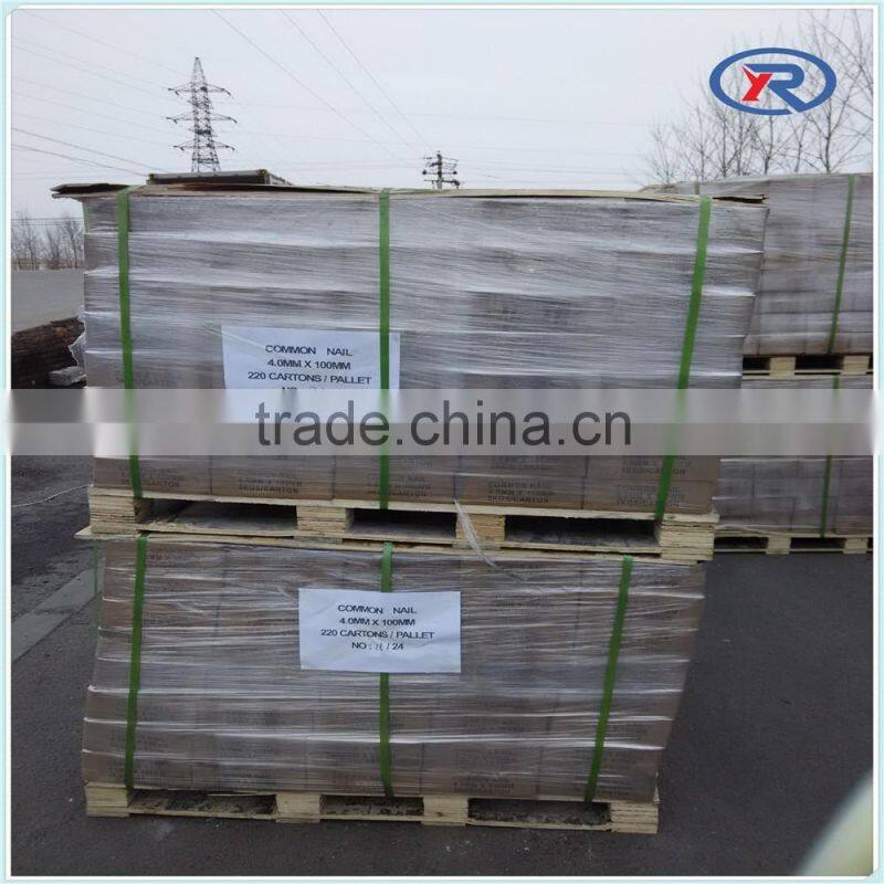 high quality sina common nail&common nails for construction usage iron nails