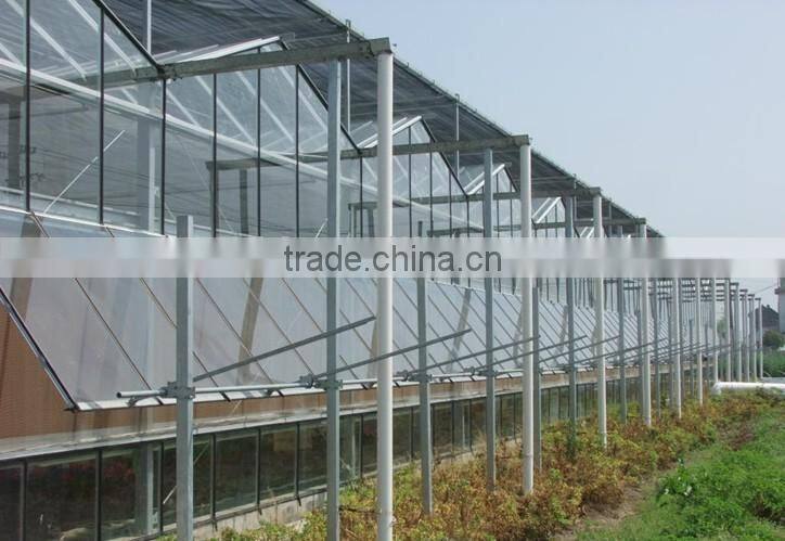 Large Glass Agricultural Greenhouses/Glass Greenhouses Used