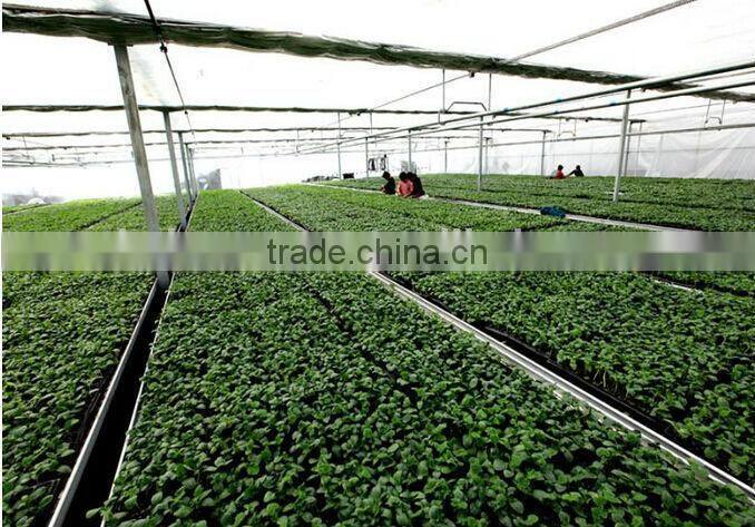 8410 Seed tray high for plant and flower