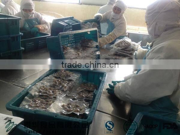The price of different kind scallop frozen IQF bay scallop for sale