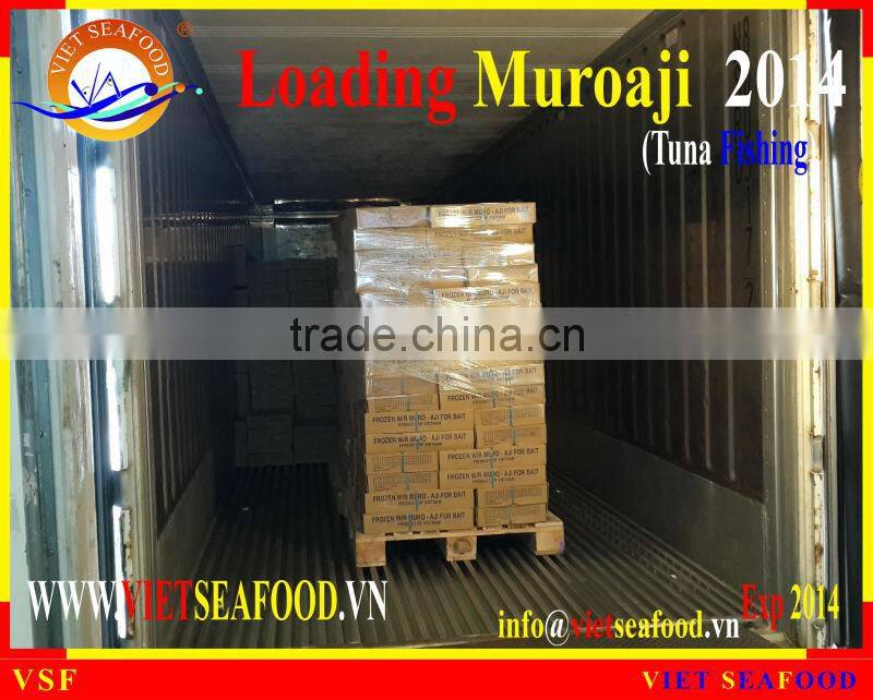 LOADING MUROAJI FOR TUNA BAIT