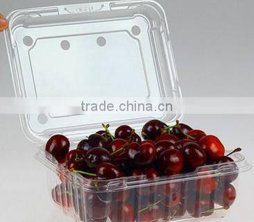 Disposable packaging ;Vegetable box ;Fruit dish