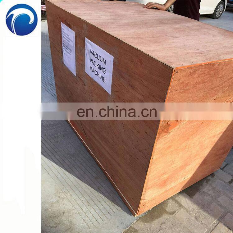 Double chamber vacuum packing machine for meat,beef,sea food,tofu,mushroom,peanut,rice,chicken