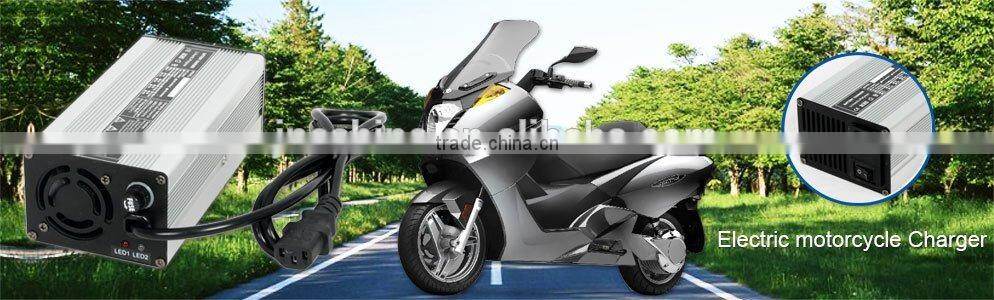 12v 220v Unicycle Battery Charger