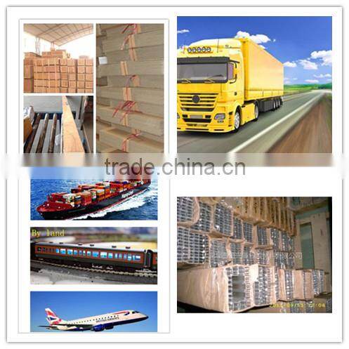 Hot selling !!!Noah 6 LED grow light for plant with comprehensive function