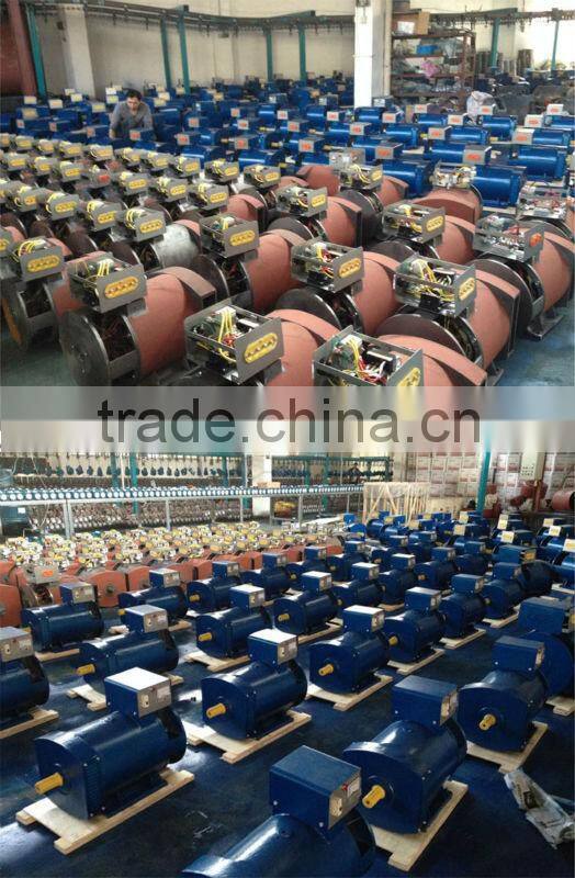 ST Series Single-phase A.C. Synchronous Alternative Energy Generator Spare Parts
