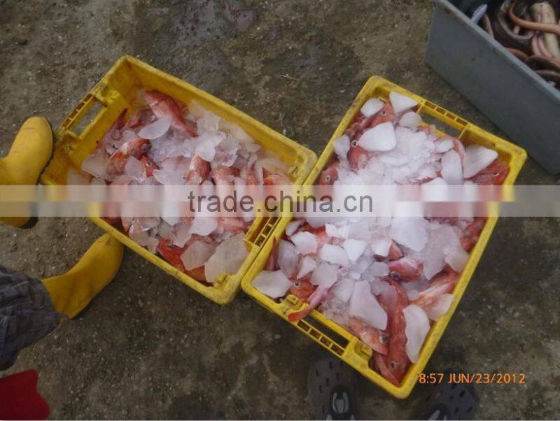 China supplier professional reci laser co2 tube s2