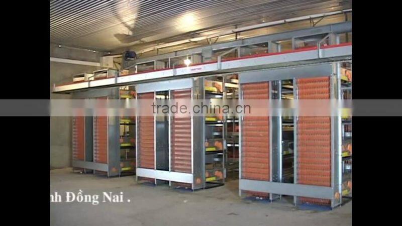 VIET NAM fresh brown chicken eggs