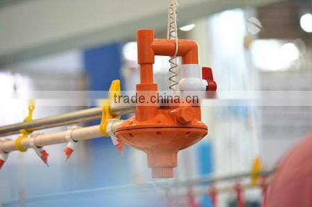 Poultry chicken cage including installation and after-sale service for sale