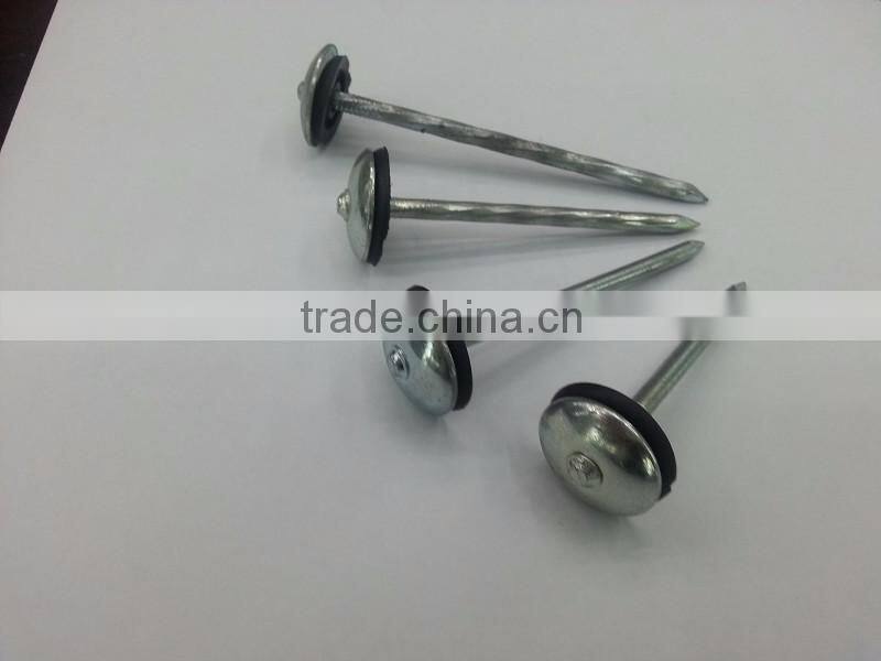 china umbrella head roofing nailsdirect from factory