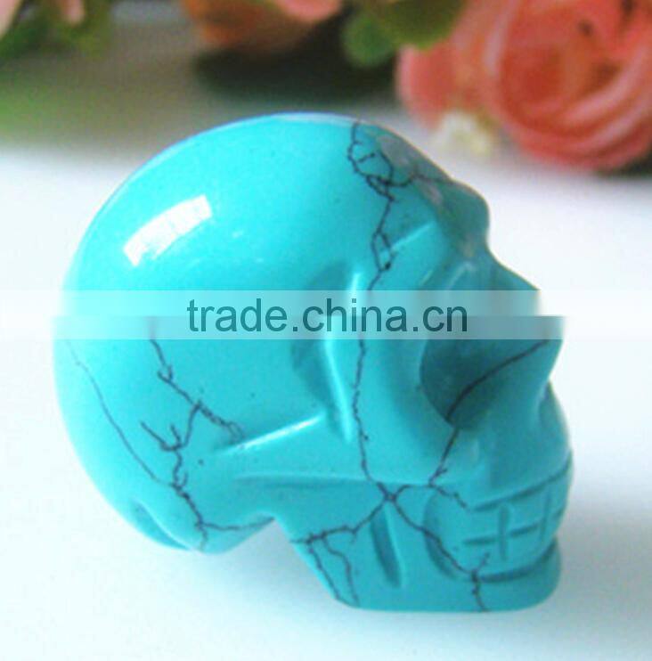 skull model human for sale