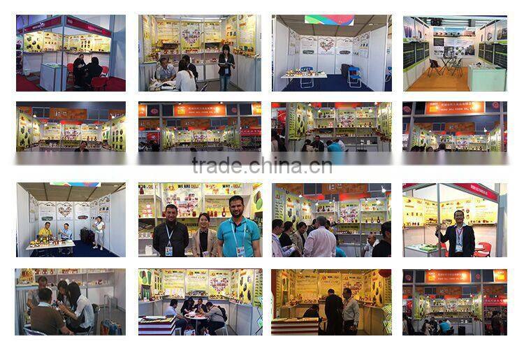 Gold Standard Bulk Rice Concentrate Protein Powder