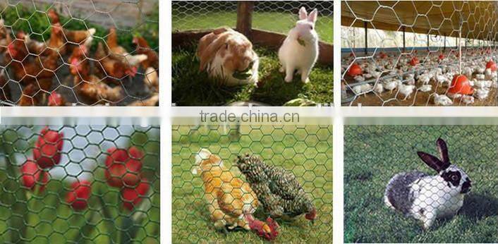 galvanized hot dipped hexagonal wire mesh