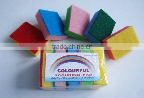 sponge scourer
