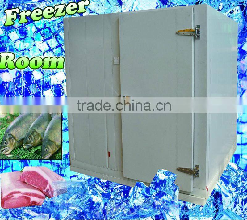 Freezer room for meat and fish -25C