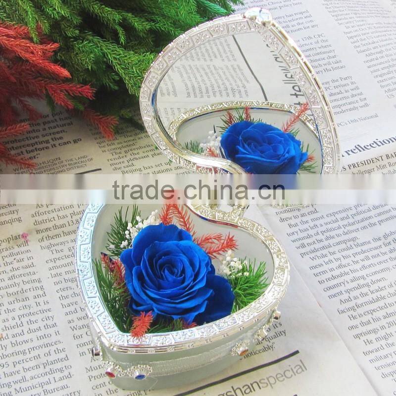 2016 Yiwu Aimee wholesale Valentine's Day gift import preserved fresh cut flower(AM-PF04)