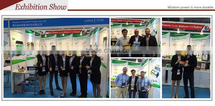 round lithium polymer battery pack 11.1 volt 650mah for tablet pc