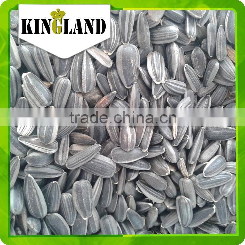 Wholesale export biggest sunflower seeds