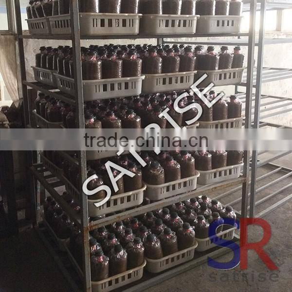 Commercial industrial autoclave steam sterilization equipment