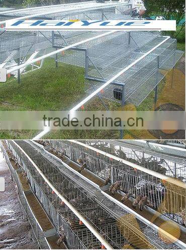 taiy quail layer cage design for sales