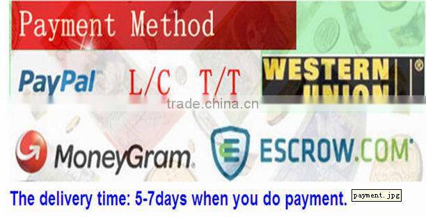 2015 New design best quality automatic poultry abattoir equipment EW-50