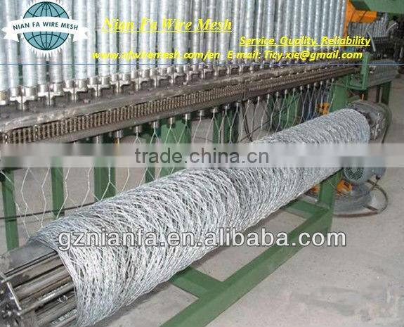 chicken netting (Factoryof Guangzhou)