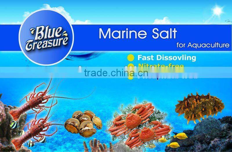 Aquaculture sea salt inflatable frozen live lobster clasp