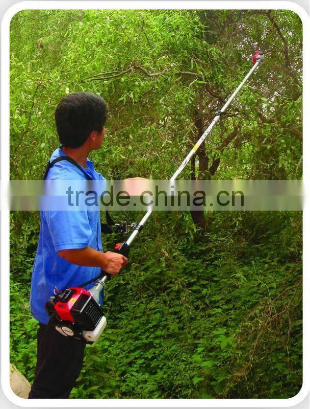 hot sales gardening 2stroke poratble pole chain saw