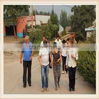 CSPL 2016 ECO wood pellets plant with capacity for 2,5 ton/h pellets output capacity