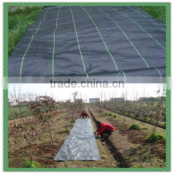 Best sell 100g/sm black anti weed mat/ground cover woven fabric/greenhouse used anti grass matting with uv protection