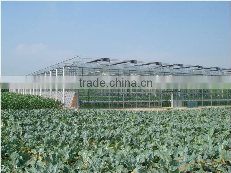 hot sale glass greenhouse shade green house design