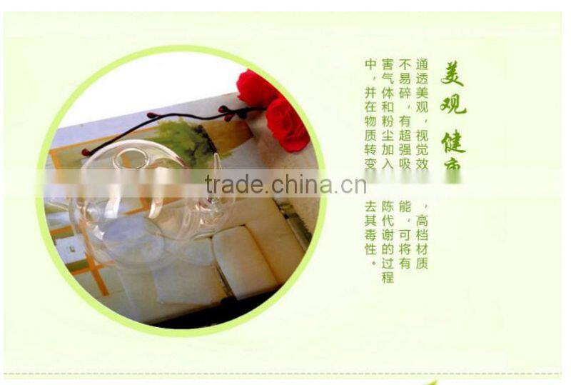 Indoor creative delicate home decoration hydroponics container snail shaped glass flower vase