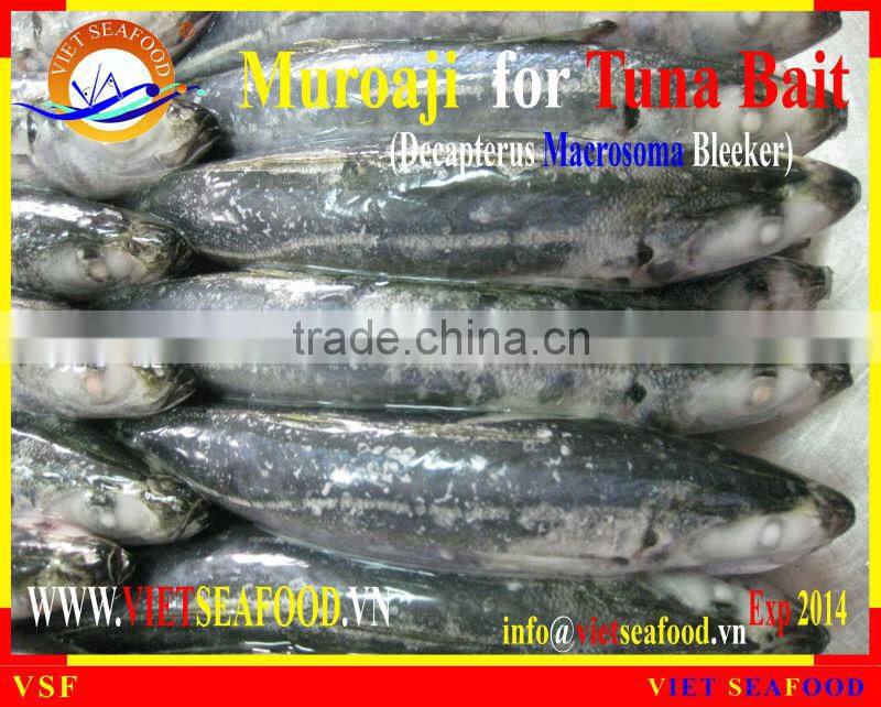 MUROAJI FOR TUNA BAIT