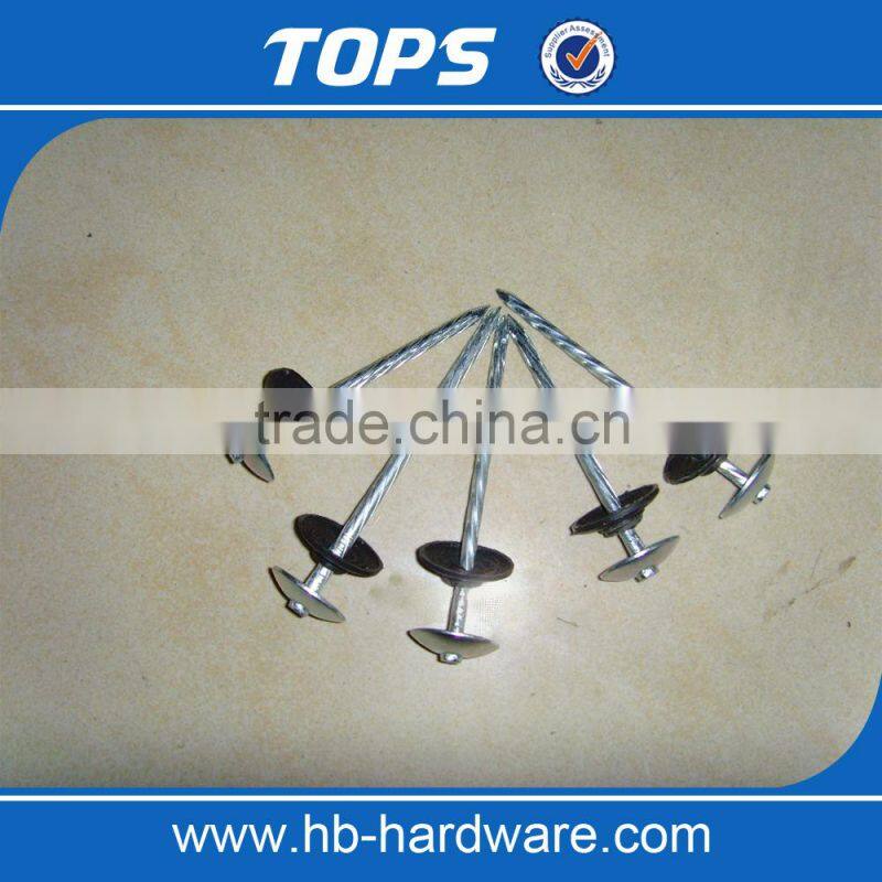 Smooth shank galvanized roofing nails/gal roofing nails