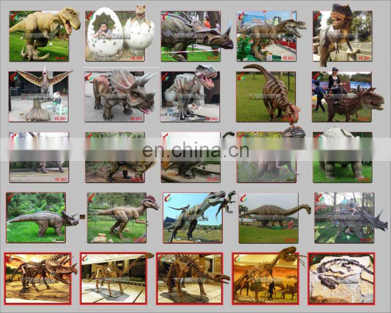 High Quantity Animal Skeletons Fossil In Big Discount