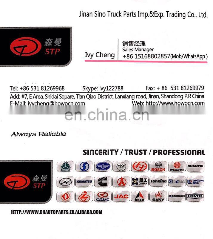 TRUCK HYDRAULIC LOCK 81.61851.6020 FOR SHACMAN