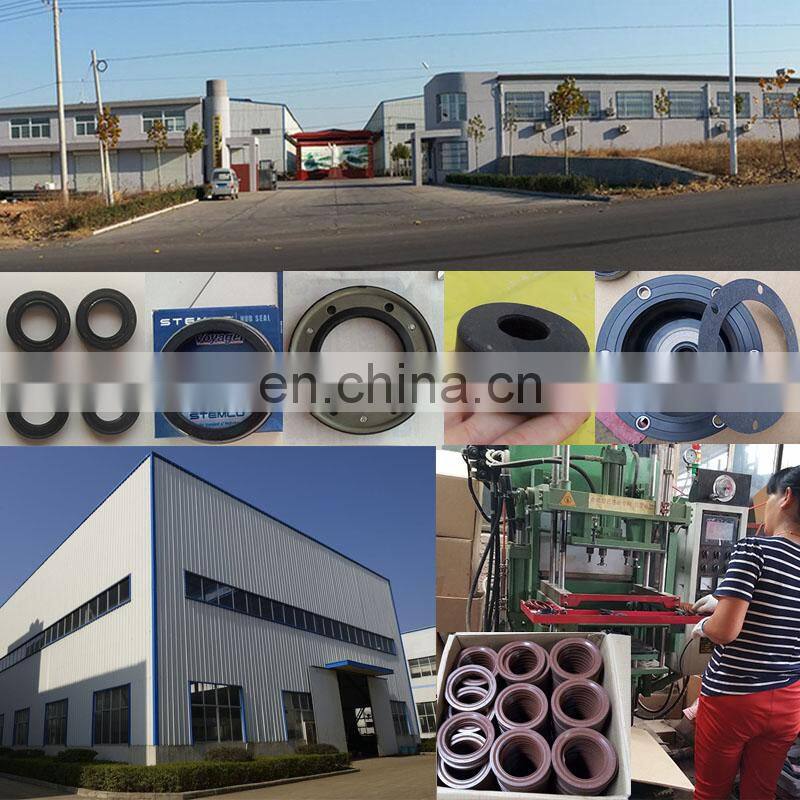 110.23-145-10/12 Oil Seal  0734310400 OE K156865 Fit For  D2866L0H