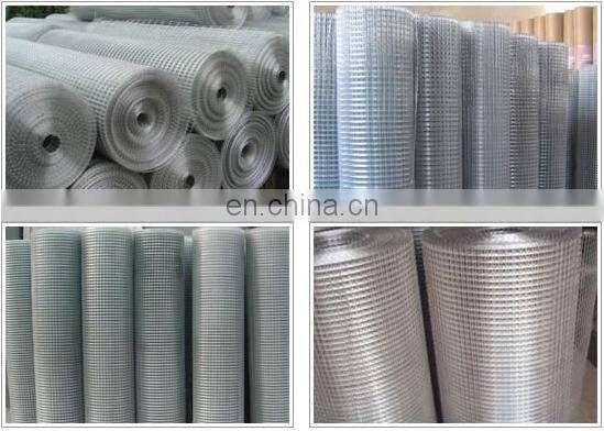 Wire Mesh Chicken Hexagonal Wire Mesh Hexagonal Wire Mesh Netting